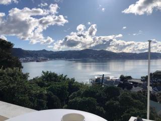 Incredible Views! Luxurious Studio & Outdoor Living - Wellington - 4
