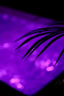 love room gold - les delices rooms - Angers - 9
