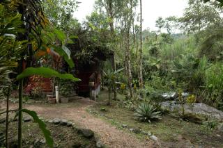 River Song's Hotel - Mindo - 5