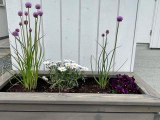 6 person holiday home in Huglo-By Traum - 4