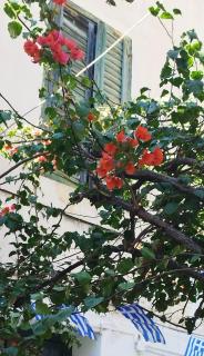 Didis Place Nafplio - 1