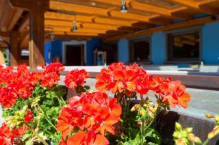 Al Mughetto - Auronzo di Cadore - 7