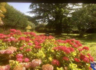 Nature, Mer, Golf & Decouvertes... - Plouha - 4