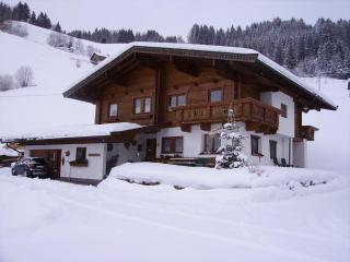 Appartement Hasenauer - Hollersbach im Pinzgau - 8