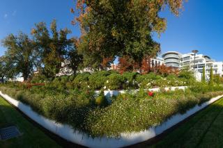 Mantra Charles Hotel - Launceston - 3