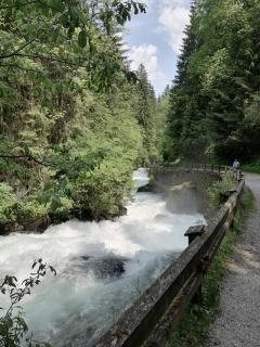 Bergzauber View - Ramsau am Dachstein - 6