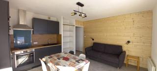 Appartements et studios dans un gite au pied des pistes - 3