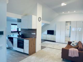 Villa Kovačeva 15, app 2, free parking - Lubiana - 9