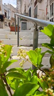 White House #cittabianca - 9