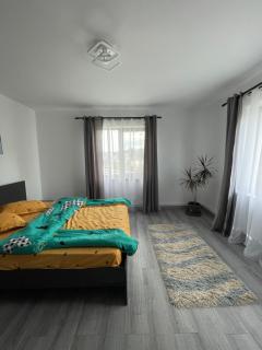 Casa Pietrele Doamnei - Câmpulung Moldovenesc - 4