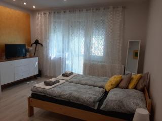 Raul Apartman - Debrecen - 3