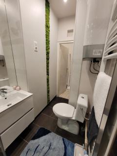 Raul Apartman - Debrecen - 2