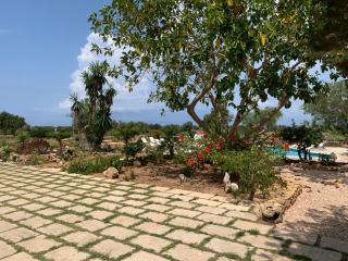 Apartamentos Vista Vedrá - La Savina - 6