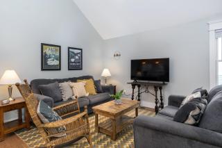 Blue Heron Bungalow 5 Min to Downtown Black Mtn - Black Mountain - 8