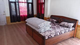 Shanti Jungle cottage - 4