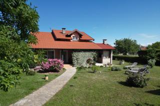 Villa Tinov Dvor - Briševo - 5