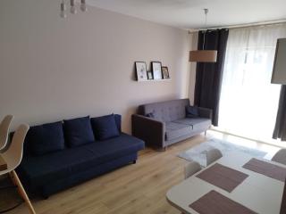 Luxury in City-4- Free Parking - Łódź - 9