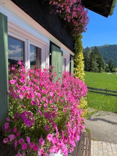 Gästehaus Nussbaumer - Balderschwang - 8