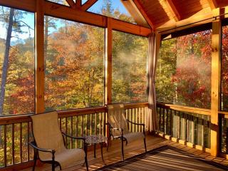 The Peaceful Perch Fireplace Community Amenities - Townsend - 6