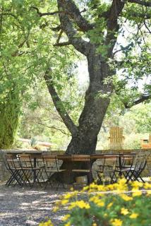 Domaine de Matourne - Flayosc - 7