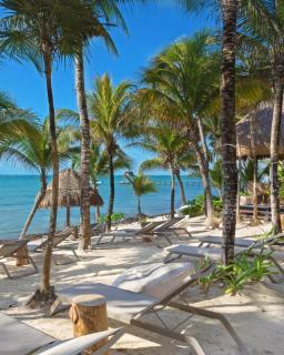 8 Bedroom Luxury Villa with Private Chef Included - Tulum - 7