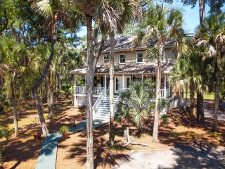 3236 Middle Dam Court - Johns Island - 0