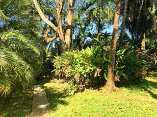 Villa del Idaan - Bocas Town - 7
