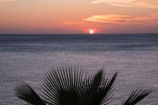 Whitehouse Lagun Apartments - 1