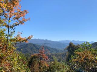Deer Field Cabin Fire Pit and Mountain Views! - Swiss - 3