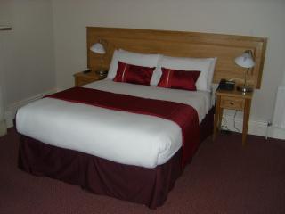 Phoenix Park Hotel - Dublin - 7