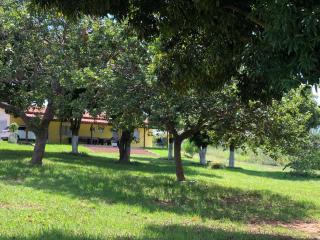 CARAVELAS - Três Marias - 8