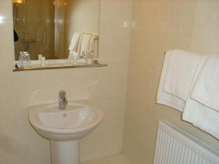 Phoenix Park Hotel - Dublin - 1