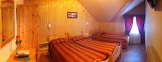 Hotel Trieste - Tarvisio - 9