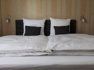 Quiet apartment with green view in urban location - Braunschweig - 9