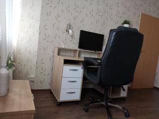 Quiet apartment with green view in urban location - Braunschweig - 3