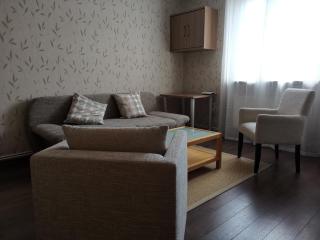 Quiet apartment with green view in urban location - Braunschweig - 4