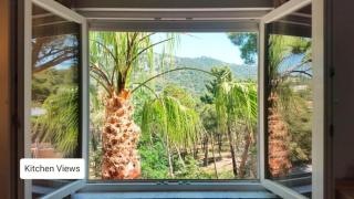 Luxury Villa - Private Beach and Pool - - 3
