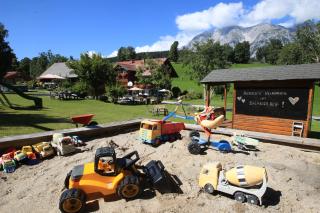 Biobauernhof Brandlhof - Ramsau am Dachstein - 5