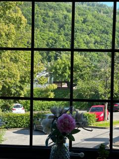 Hotel Seeblick Obermaubach - 9