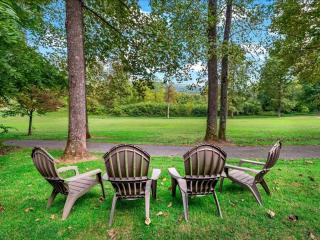 Blue Ridge View Pet Friendly, Deck, Grill - Marion - 8