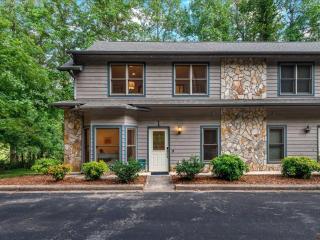 Blue Ridge View Pet Friendly, Deck, Grill - Marion - 4