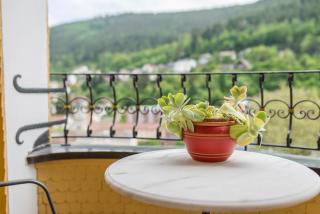 Ferienwohnung Saline - Bad Wildbad - 7
