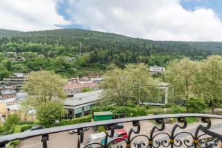 Ferienwohnung Saline - Bad Wildbad - 5