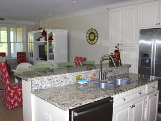 3002 Salt Marsh - Seabrook Island - 5