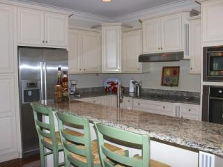 3002 Salt Marsh - Seabrook Island - 3