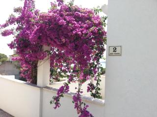 Apartman Filis - Hvar (Lesina) - 8