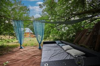 Le chouette insolite - 2