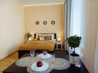 Centrally located Studio apartment - Riga - 0