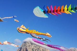 Appartamento Fiore di Zagara 100mt dal mare - 4