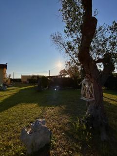 Casa Vacanze Il Sole - Casamassella - 8